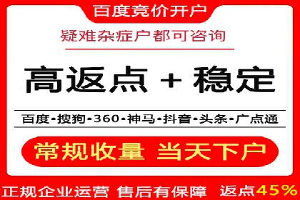SEM代理实战：成功案例分享与经验总结